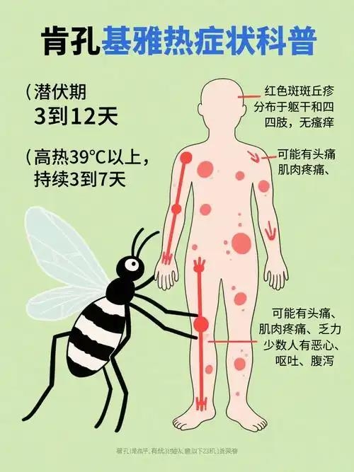 1764580471607456.jpg 11.jpg