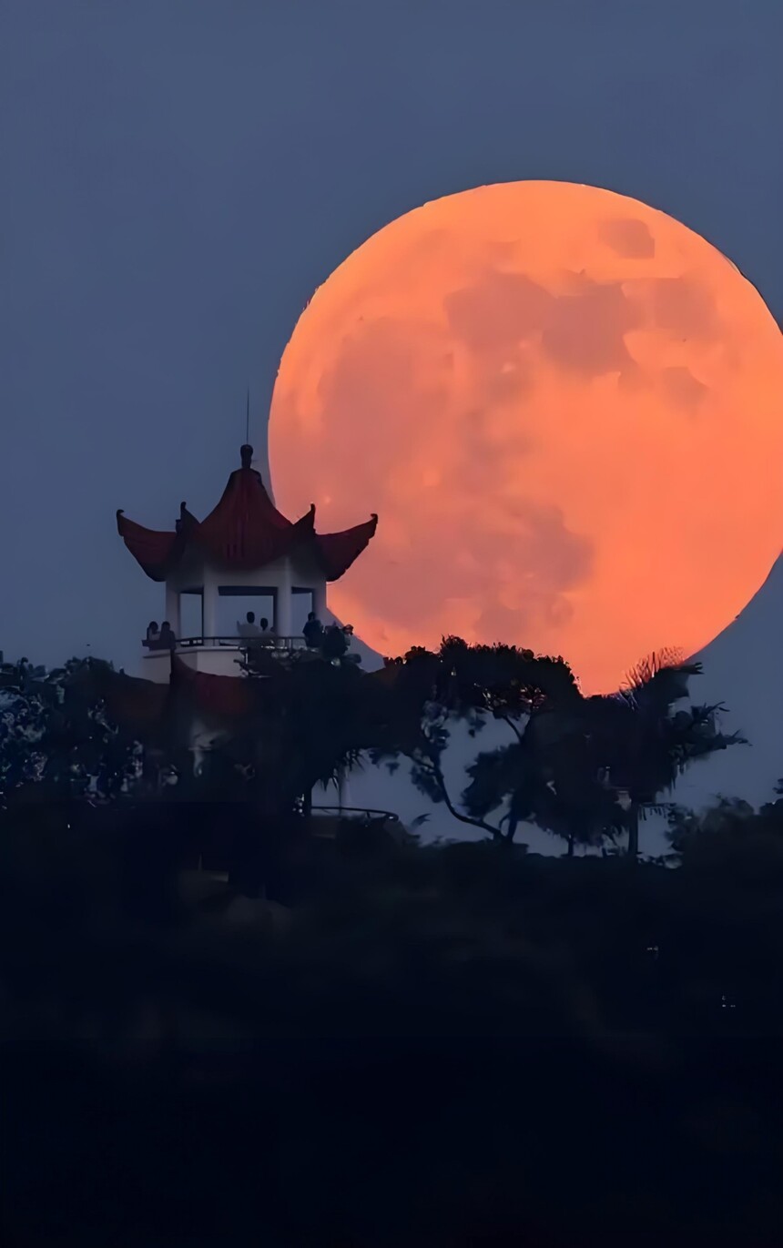 1764848680428770.jpg 11.jpg