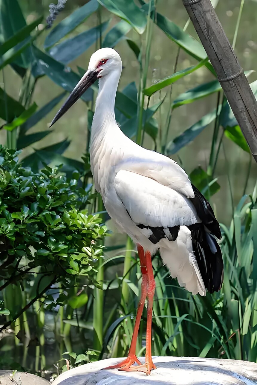 1764850502278412.jpg 11.jpg