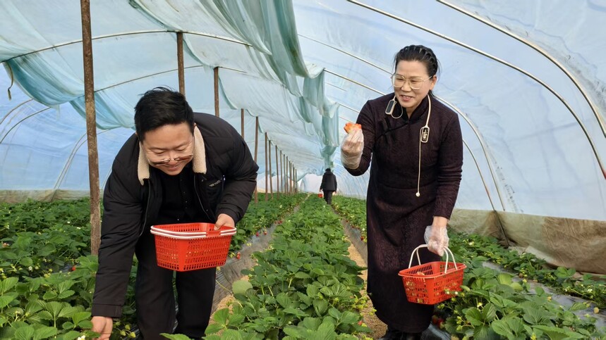 1768308679493946.jpg a2b4ce8995959a761366c3a3b065572a.jpg