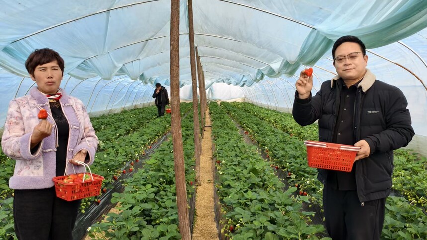 1768308852374028.jpg 2bf7b37c2a1ffec989d543b0f3b0c4b5.jpg