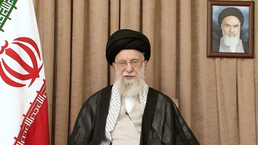 1772445306573310.jpg 11.jpg