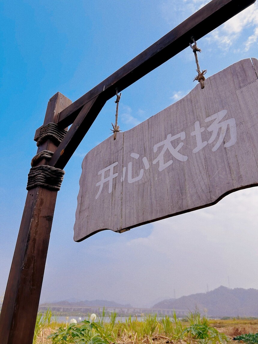 1773986755288943.jpg 11.jpg