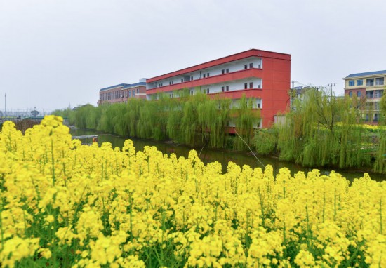 1774855700806460.jpg 1.jpg