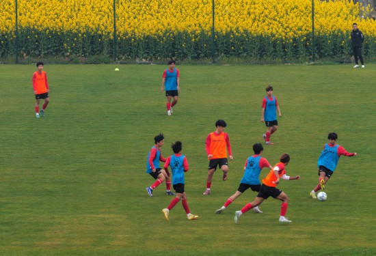 1774855721412434.jpg 2.jpg