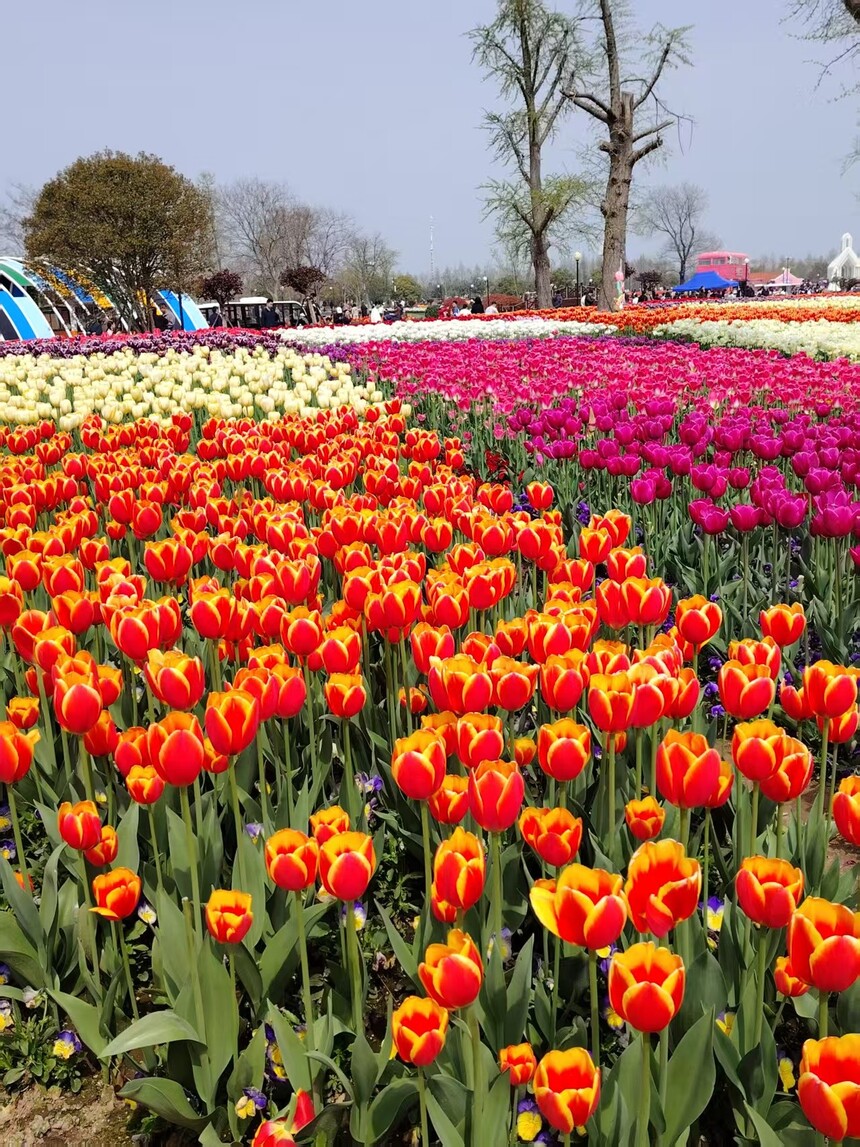 1775545513677256.jpg 0b18659b783d8b985ed7372eae9d201.jpg