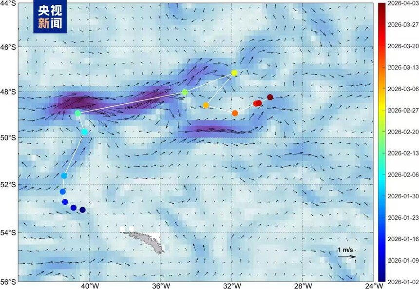 1775812525668809.jpg 11.jpg