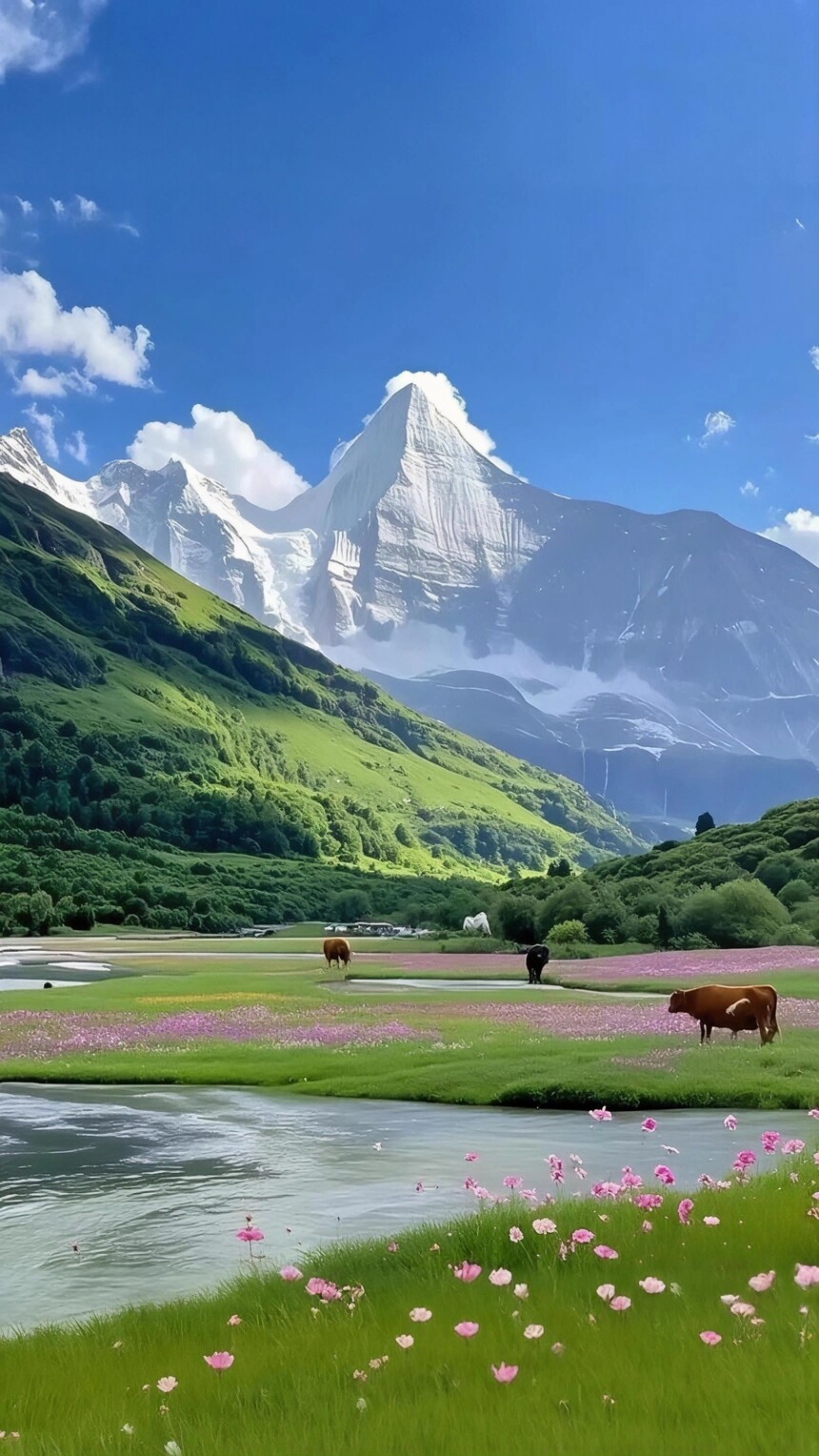 1778584682882731.jpg 11.jpg