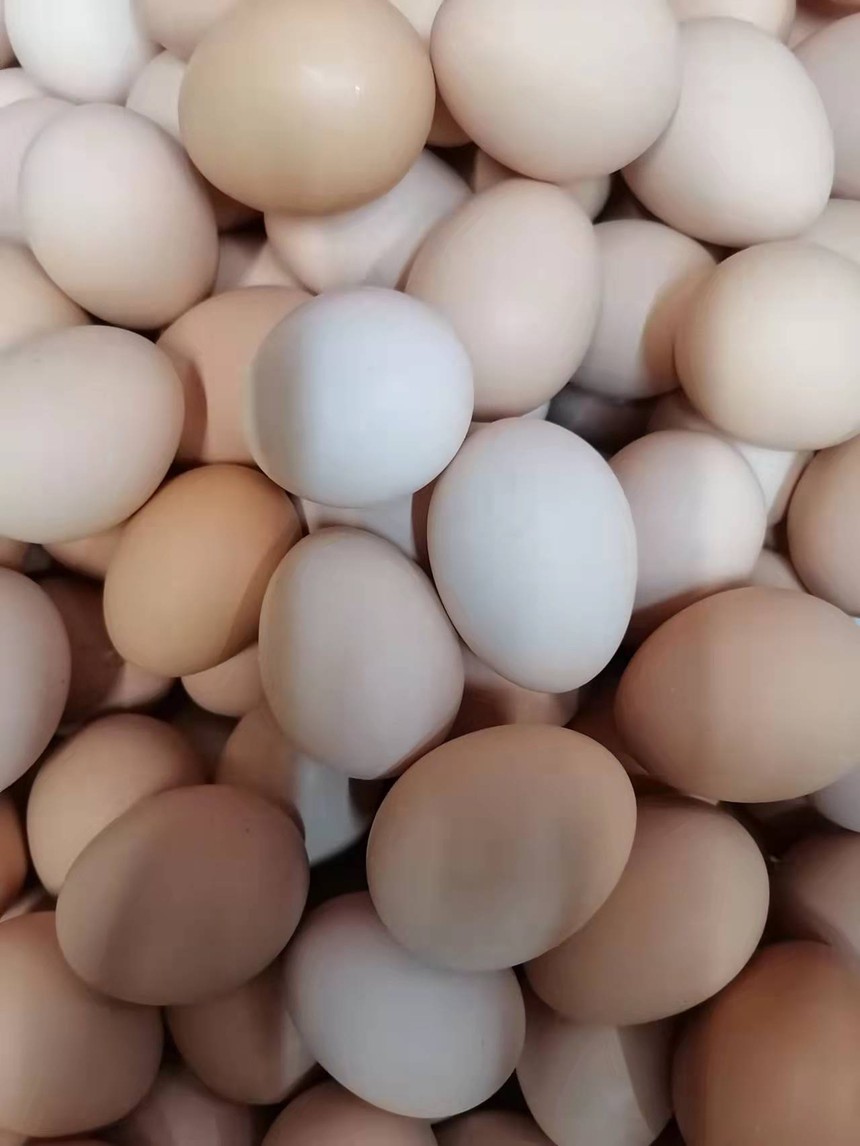 ΢ͼƬ_20220505104335.jpg