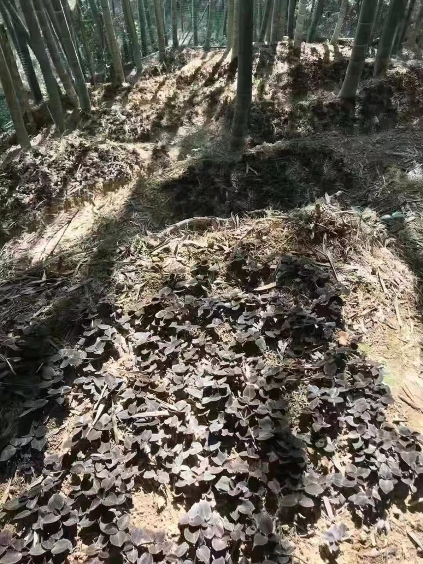 ΢ͼƬ_202205051046342.jpg