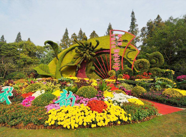 1654073396269080.jpg 藝菊造型.jpg