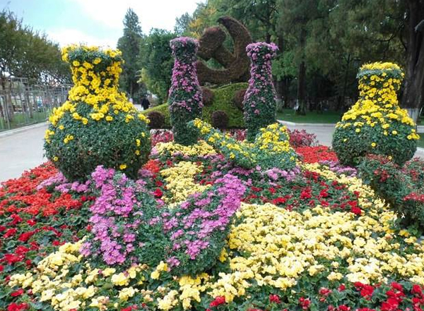 1654073513993876.jpg 菊花展工程5.jpg