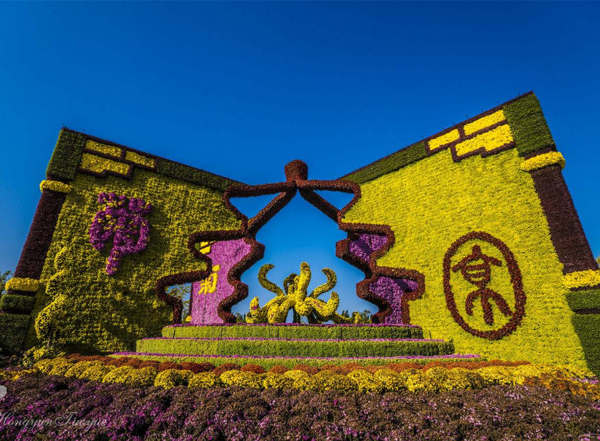 1654073640715226.jpg 河南菊展工程.jpg