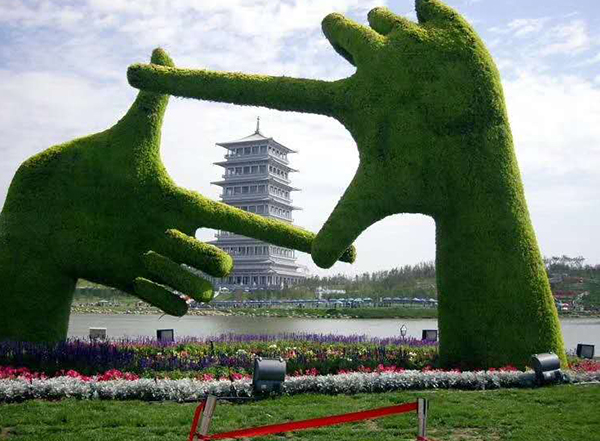 1654135532126858.jpg 河南五色草造型.jpg