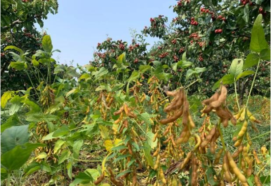 1663982526606932.png 微信截图_20220924092224.png