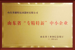 山東省“專精特新”中小企業