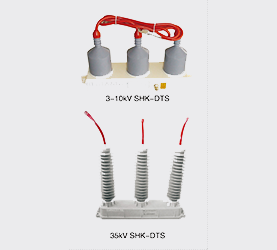 DTS大容量三相組合式過(guò)電壓保護(hù)器