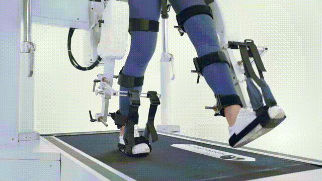 11.gif