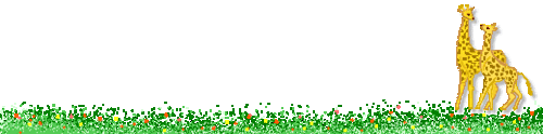 �D5.gif