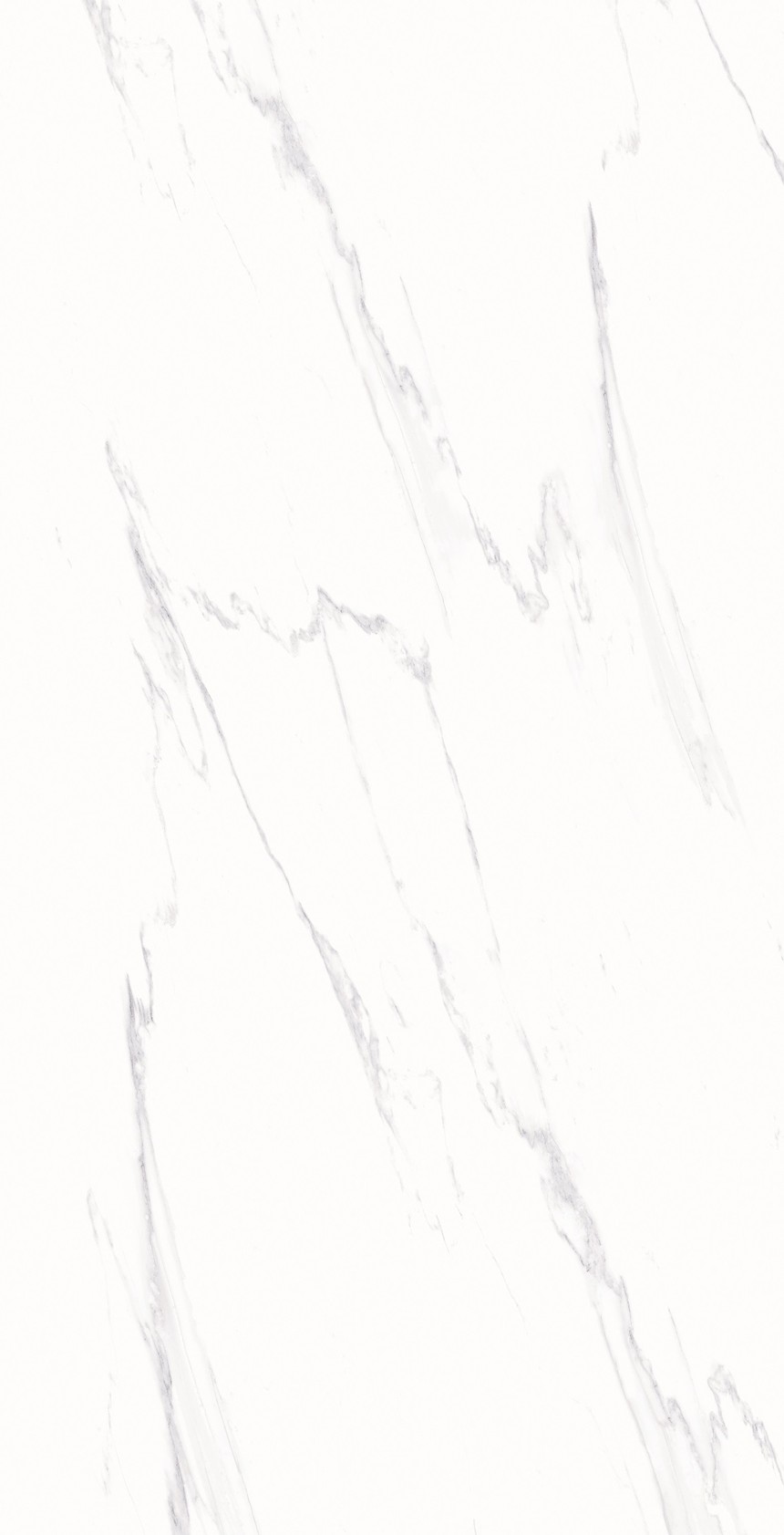 8090_01.jpg