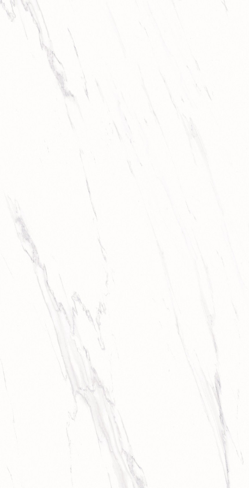 8090_02.jpg