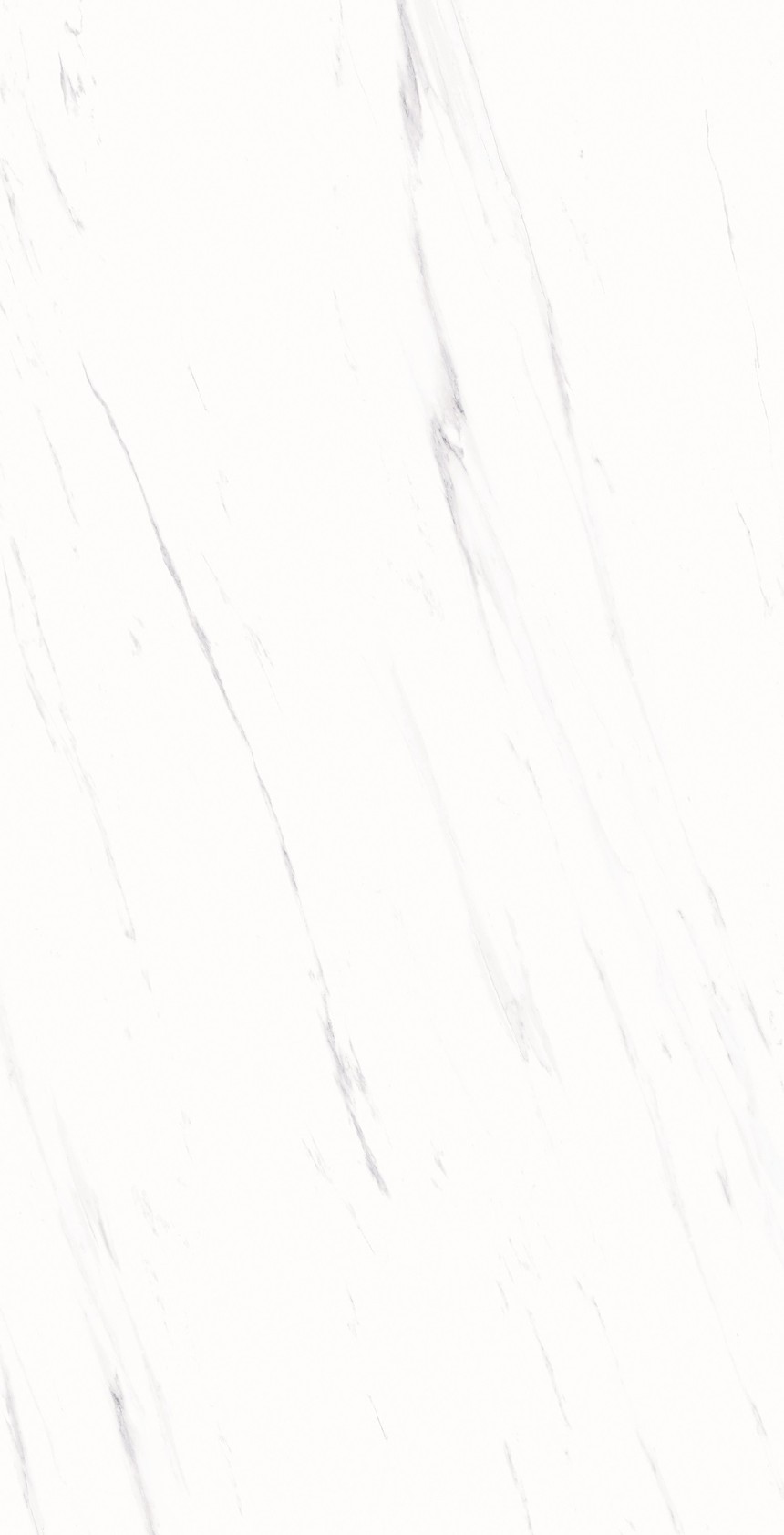 8090_04.jpg