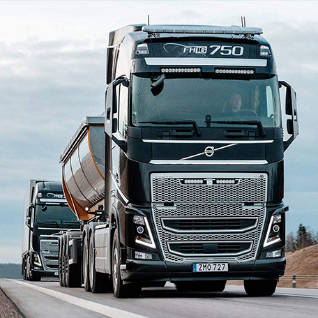 ��������֦��ΰ��bv����ר��