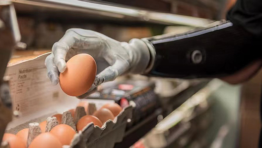 關于使用假肢前后的訓練知道多少?