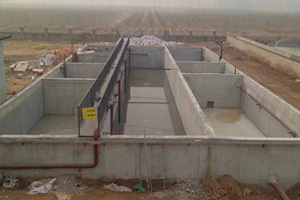 北京平谷正大綠色方圓蛋業有限公司 100