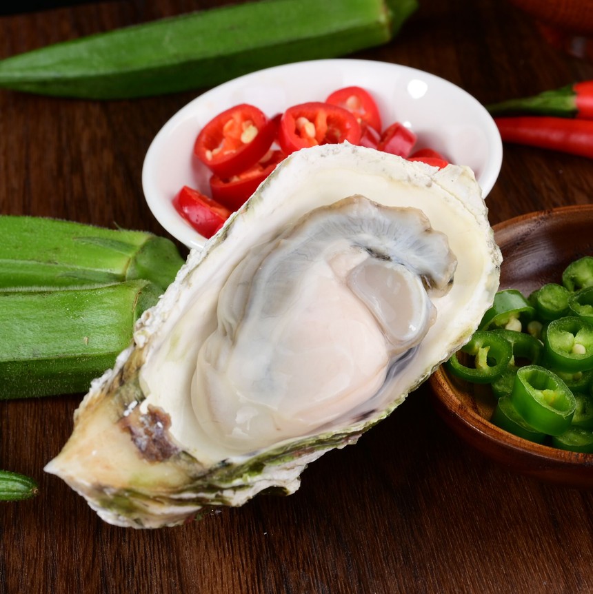 Half shell oyster (2).jpg