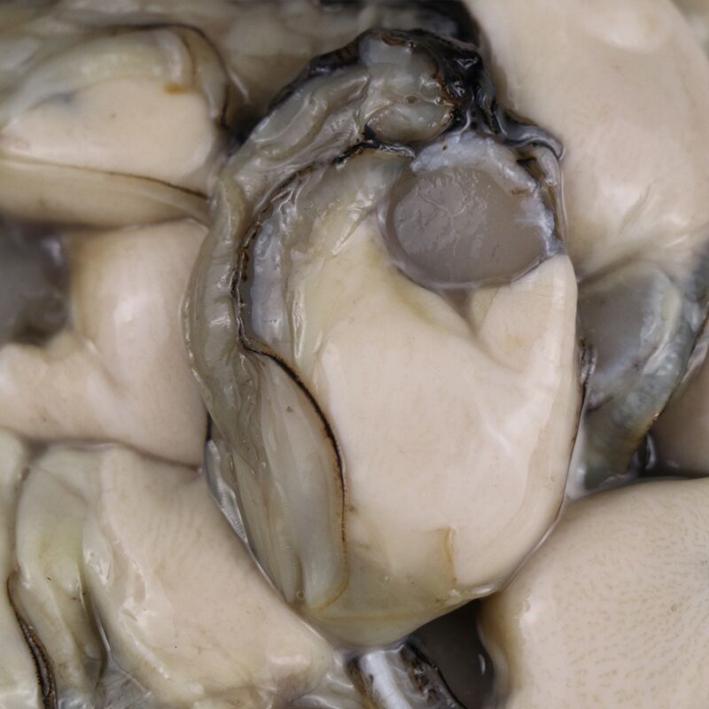 Oyster meat (4).jpg
