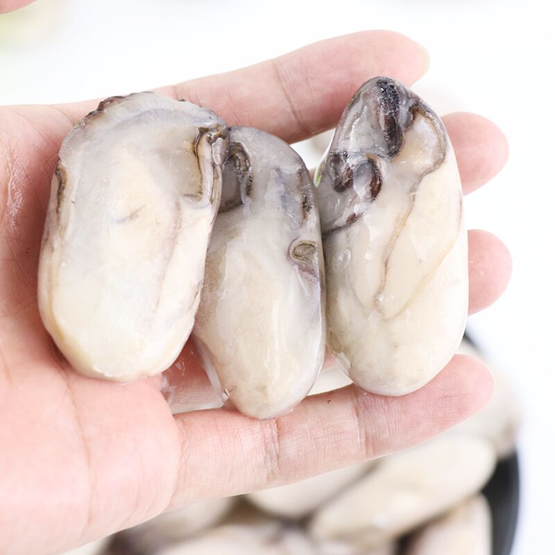 Oyster meat (5).jpg