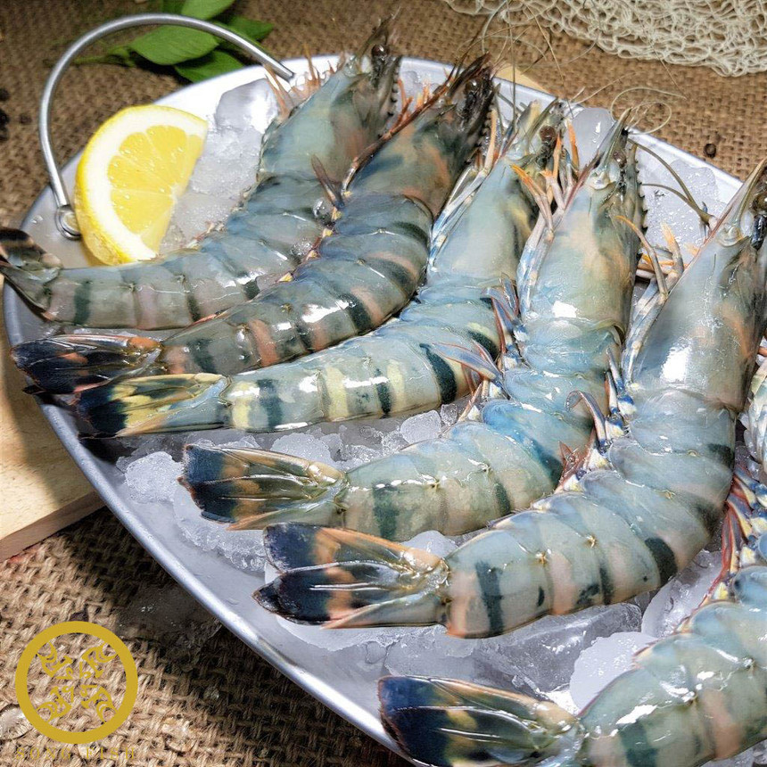 Black tiger shrimp .jpg