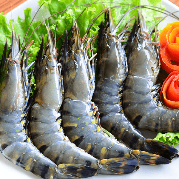 Black tiger shrimp .png