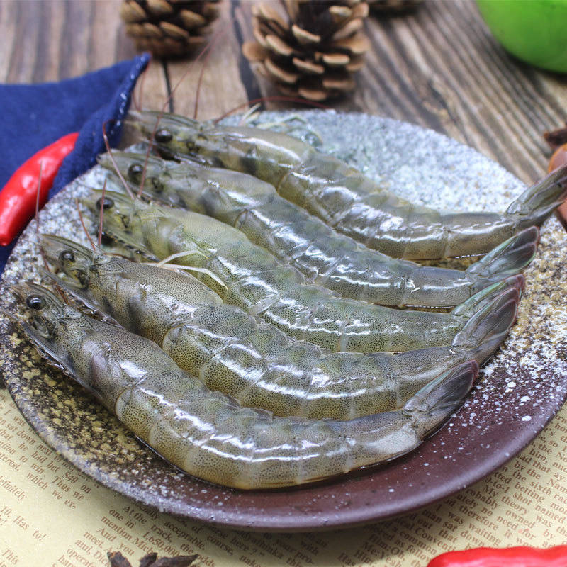 Vannamei shrimp  (4).jpg