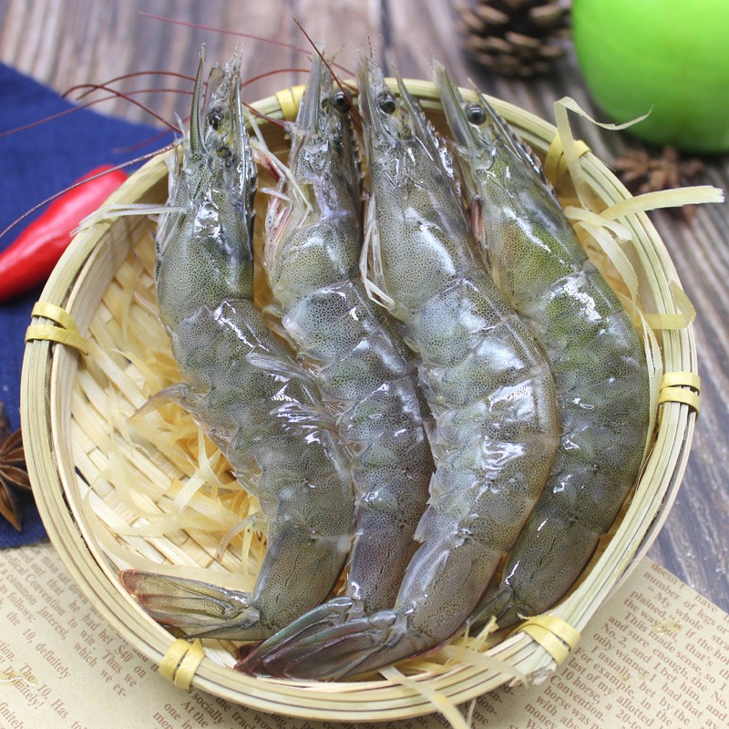 Vannamei shrimp  (1).jpg