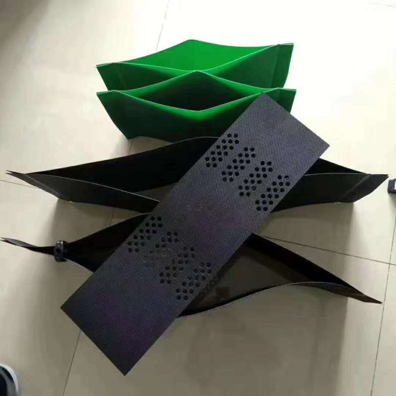 3726025_1608084395.jpg