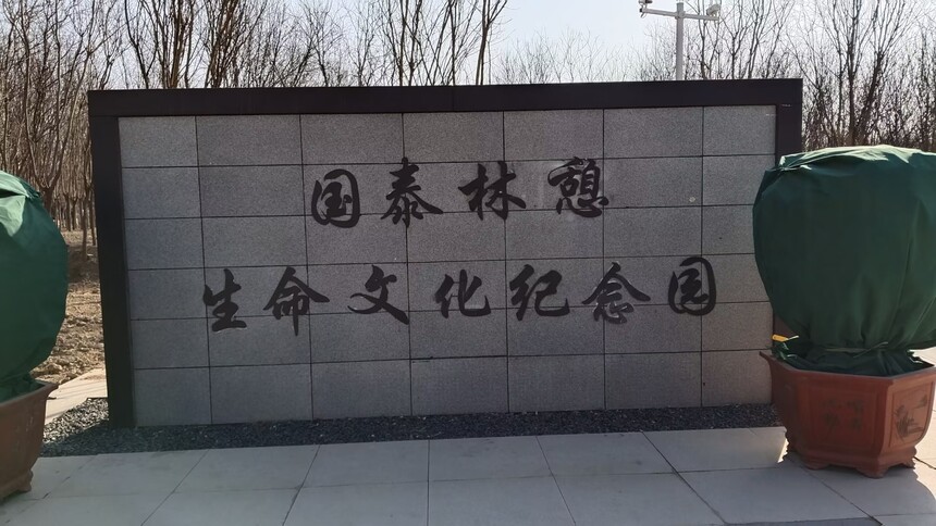 1745201695248157.jpeg default (10).jpeg