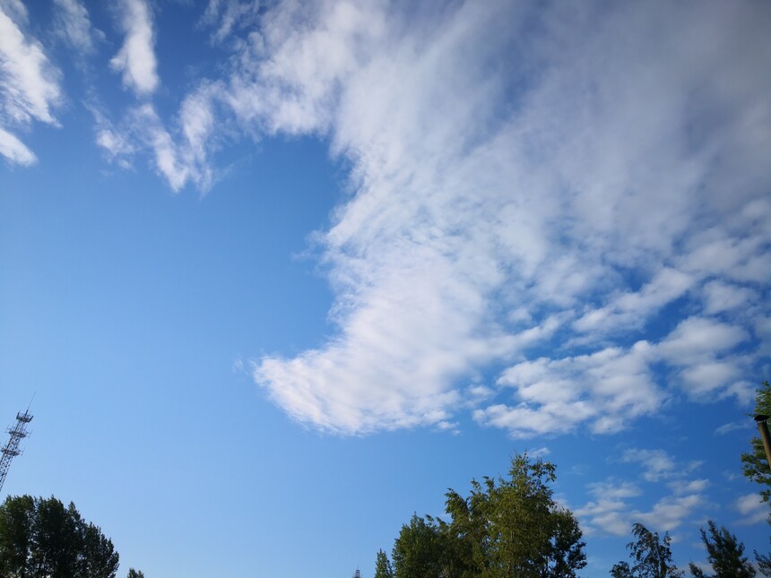 IMG_20190607_070552.jpg