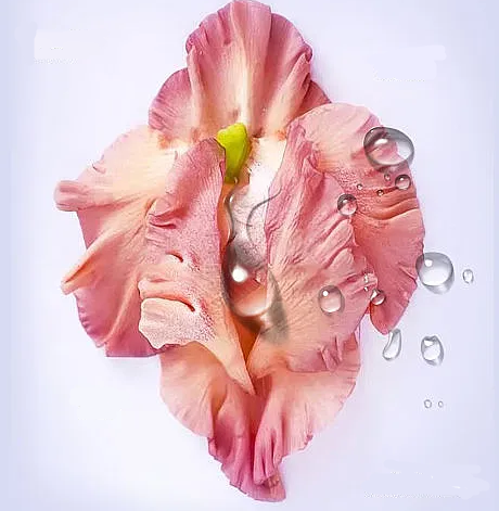 ΢ňDƬ_20240813110041.png