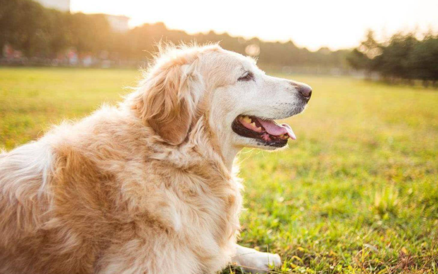 1659608249571239.png 1.png