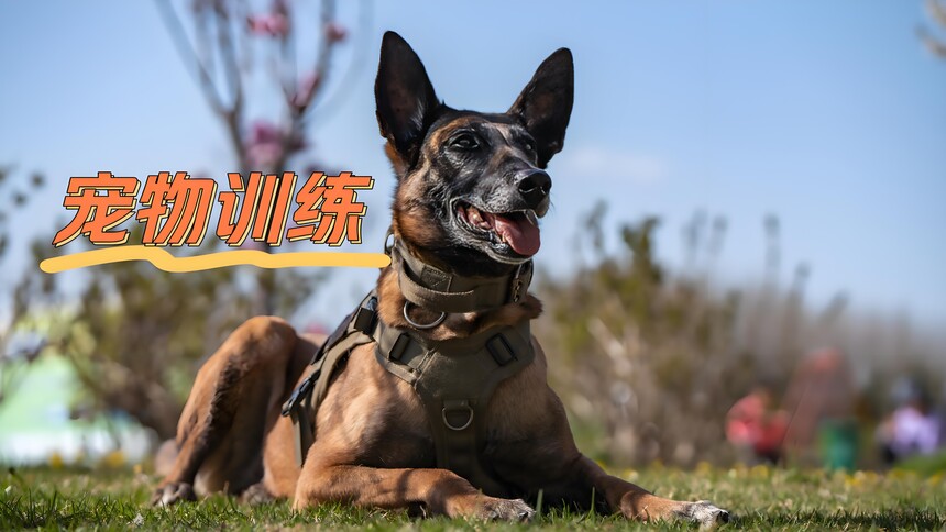 830348df-86b8-4402-9cf7-63cacacd72b2.jpg