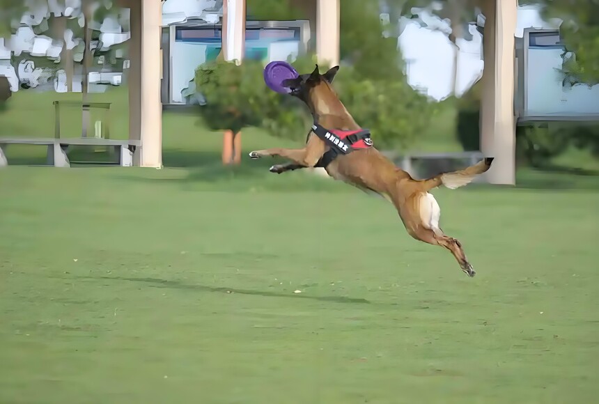 1758698463557829.jpg 4d4c0a1a-3d47-47ef-9290-90ba6ceadc2e.jpg