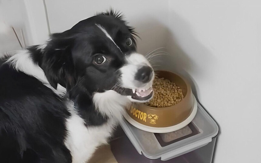 1761721629694793.jpeg 76c14b8b12ca2856648b95e1858299ad.jpeg