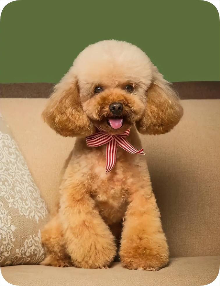 1764665296877958.jpeg 02f4d3ed7a3a4d53b6f076a7329a7ff3.jpeg