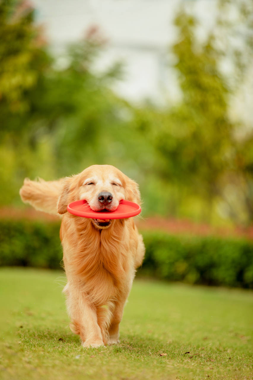 1766995677148782.jpeg 79a360e6bc221cc5604d84eba7a0669c.jpeg