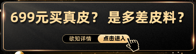 699ԪƤ ǶƤϣ.png