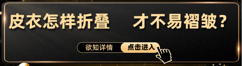 Ƥ۵     Ų壿.png