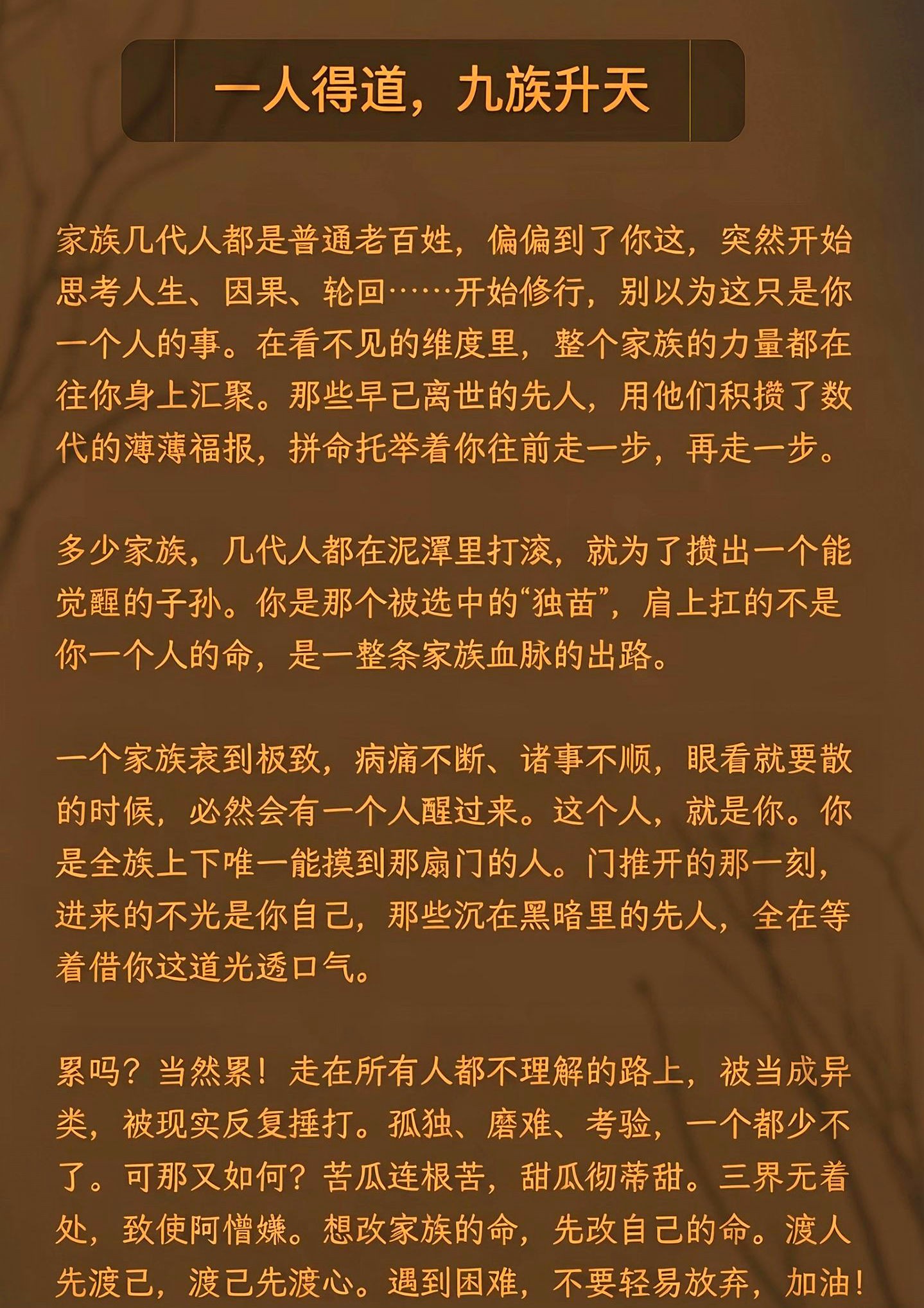1791075891632399.jpg 微信图片_20261004085915_36_16.jpg