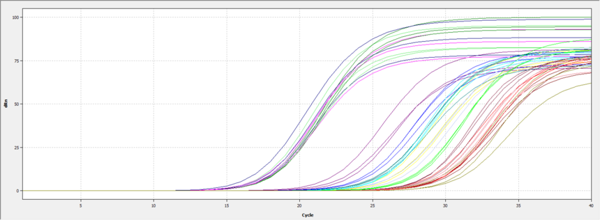 qPCR.png